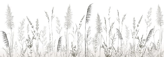 Papier peint poétique pampa, XXL, tendance