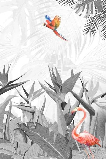 Papier peint noir et blanc oiseau du paradis