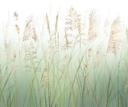 Papier peint fleur des champs de blé vert, XXL, tendance