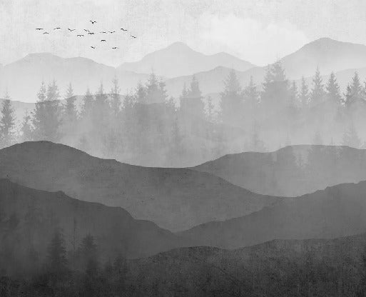 Papier peint panorama nature noir et blanc
