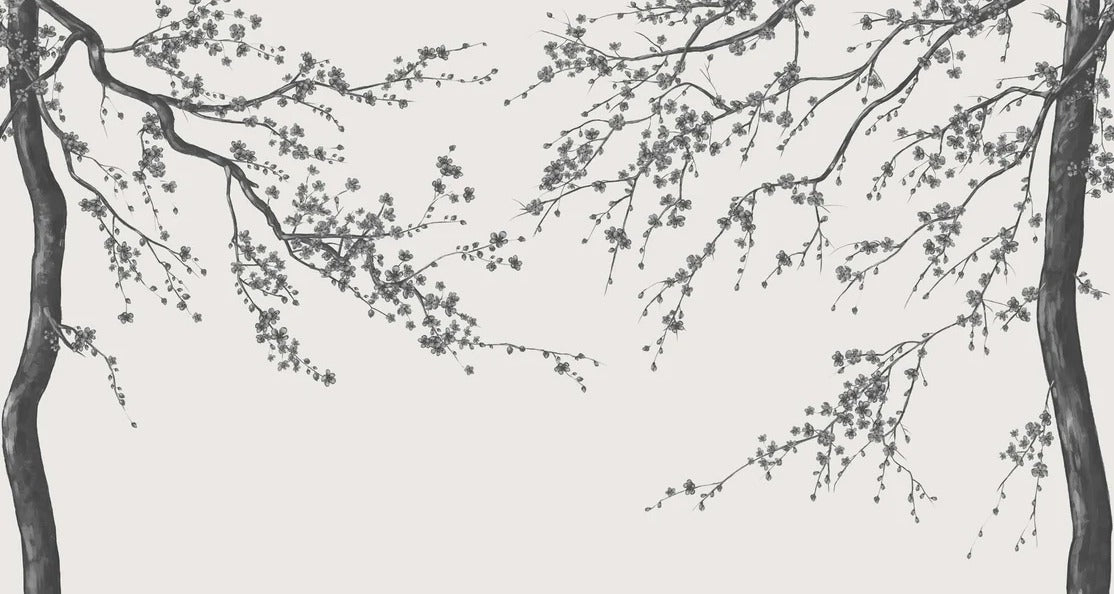 Papier peint panoramique fleur Sakura noir et blanc