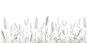 Papier peint poétique pampa, XXL, tendance