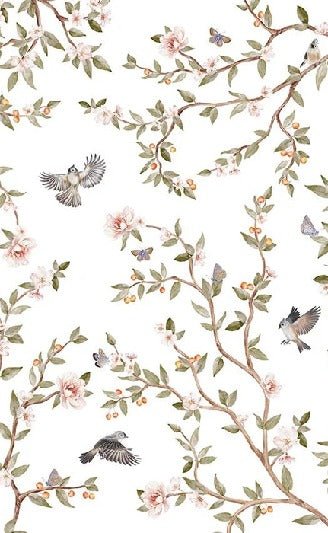 Papier peint oiseau chambre enfant