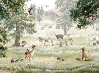 Papier peint enfant animaux et compagnie