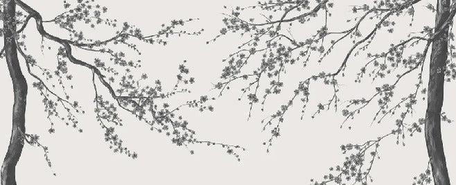 Papier peint panoramique fleur Sakura noir et blanc