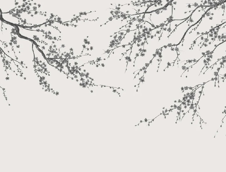 Papier peint panoramique fleur Sakura noir et blanc