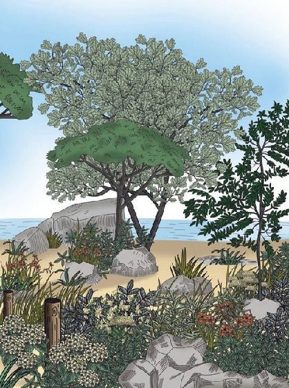 Papier peint paysage France bord de mer, XXL, tendance