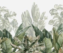 Panoramic green banana wallpaper