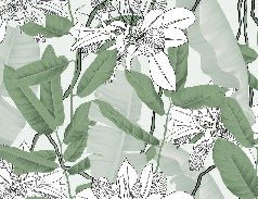 Papier peint feuillage nature vert fleur NB