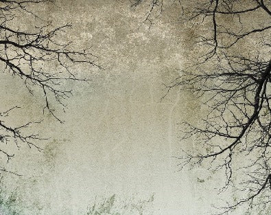 Papier peint Forêt Enchantée