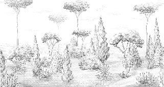 Papier peint panoramique forêt antique, XXL, tendance