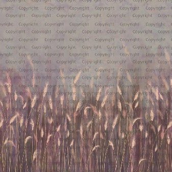 Papier peint panoramique herbes sauvages rose, XXL, tendance