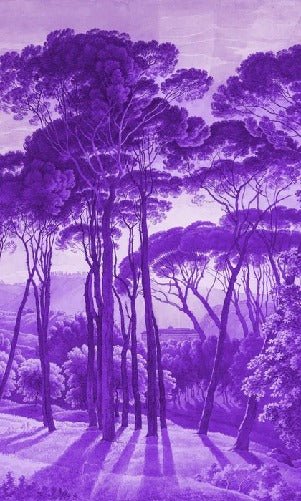 Papier peint paysage historique italien violet, XXL, tendance