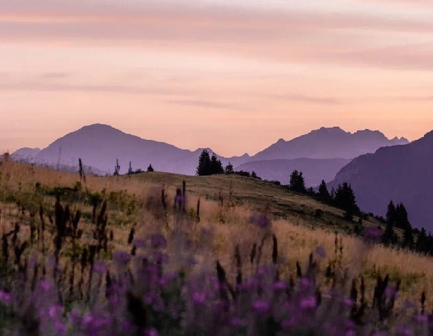 Papier peint restaurant massif du Giffre, XXL, tendance
