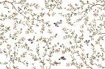 Papier peint oiseau chambre enfant