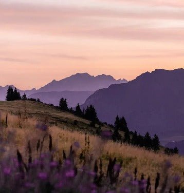 Papier peint restaurant massif du Giffre, XXL, tendance