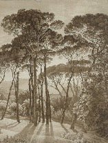 Papier peint panoramique paysage italien ambré, XXL, tendance