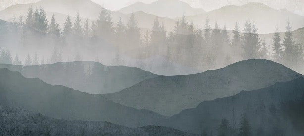 Papier peint panorama nature noir et blanc