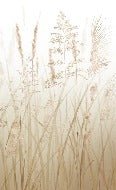 Papier peint toilette fleur des champs de blé beige