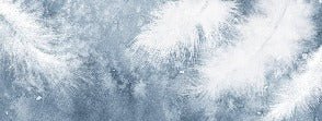 Papier peint Plume Blanche