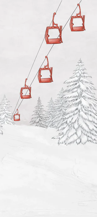 Monochrome Jungle Leaf Paper - H250cm x W275cm - Softouch Material