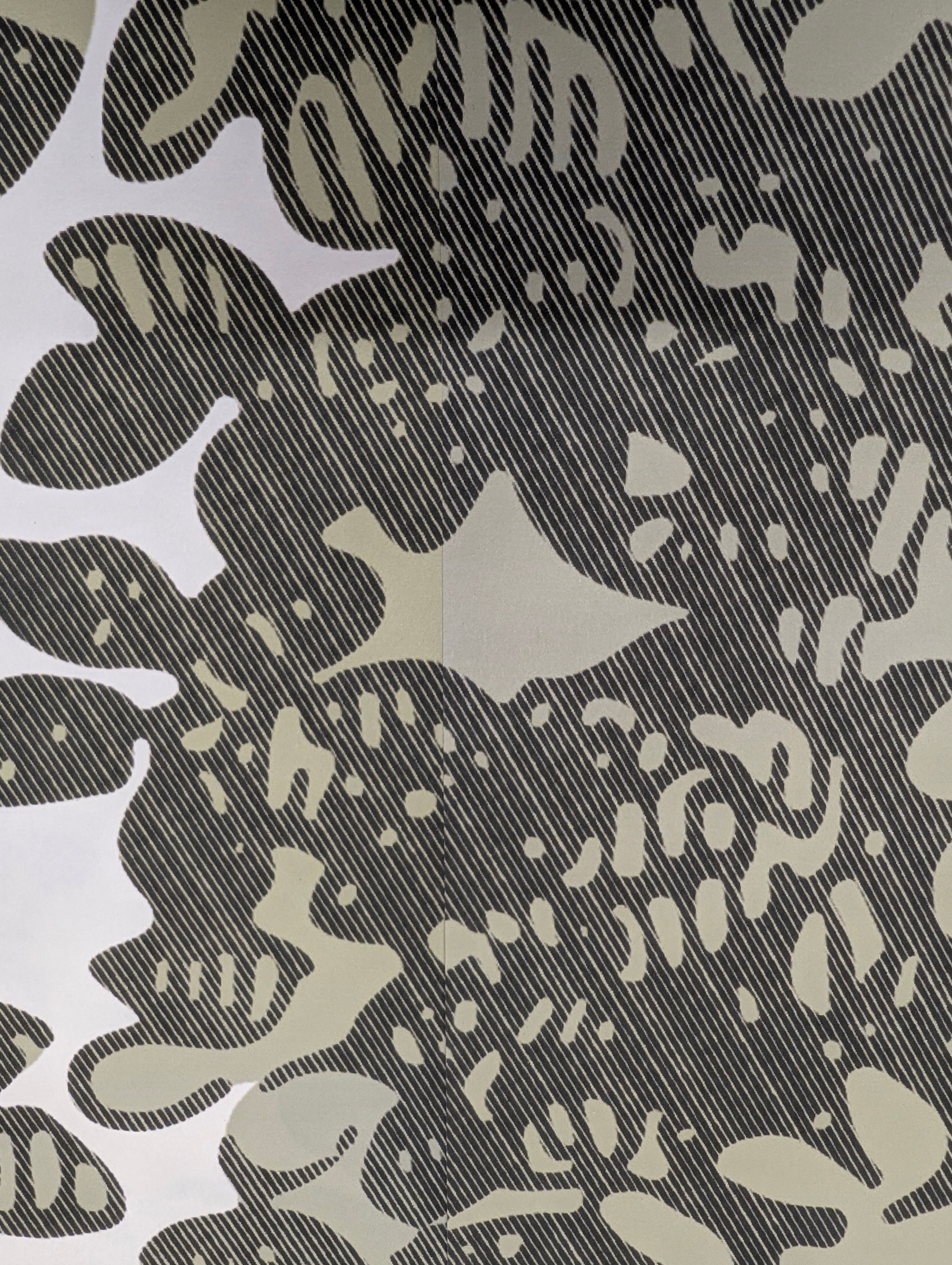 Grey Children's French World Map Wallpaper - H260cm x L322cm - Pre-glued Matter