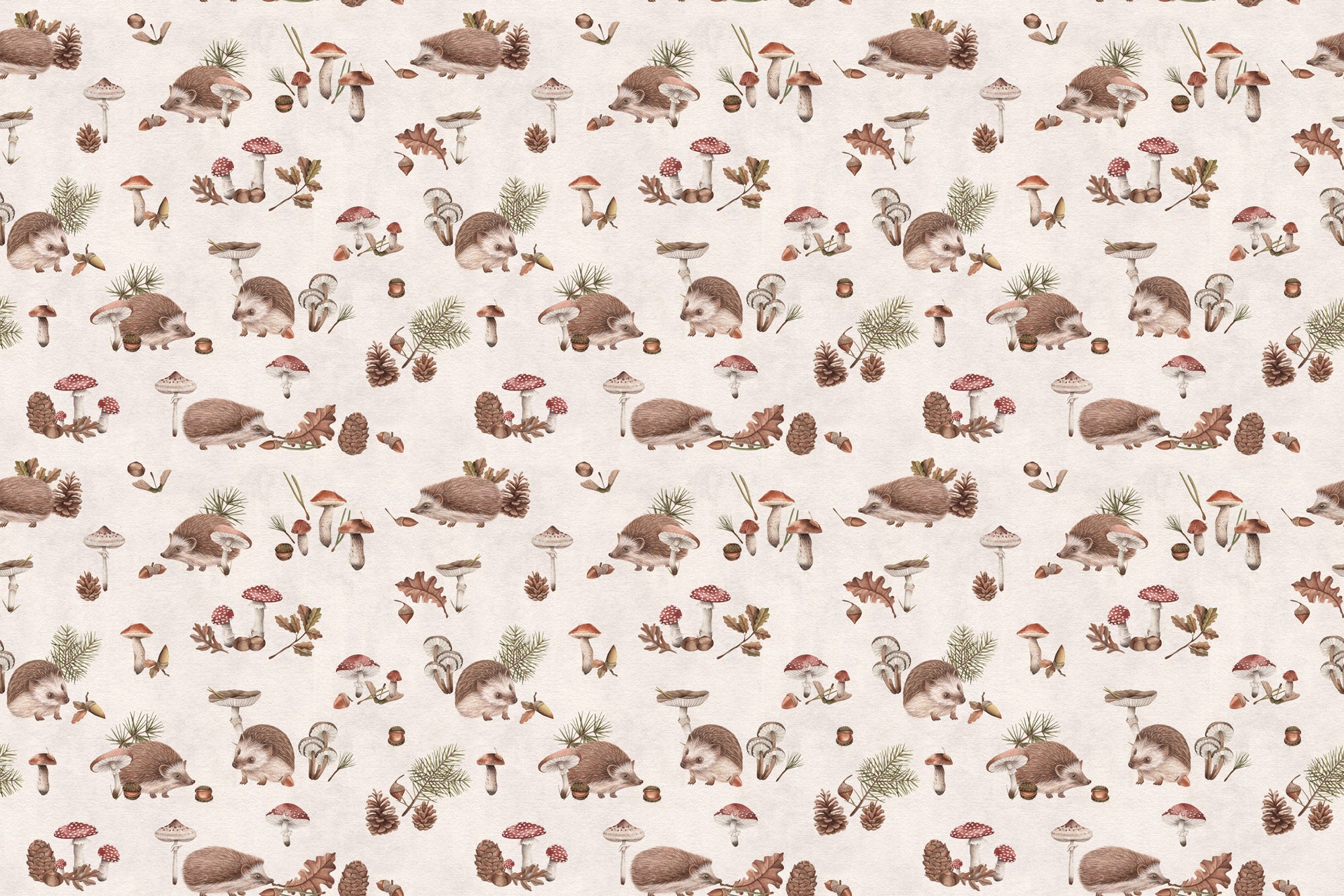 Papier peint à motif pour enfant. Balade du petit hérisson - Muralconcept