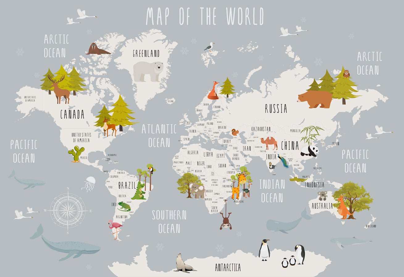 Papier peint Carte du monde enfant, mural concept, tendance