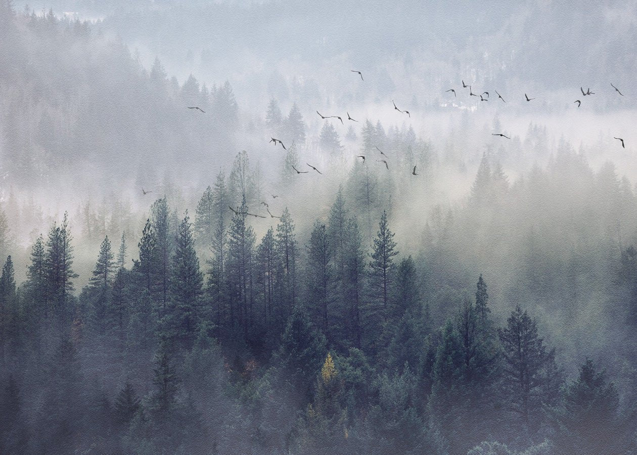 Papier peint salle de bain forêt de Chine, mural concept, tendance