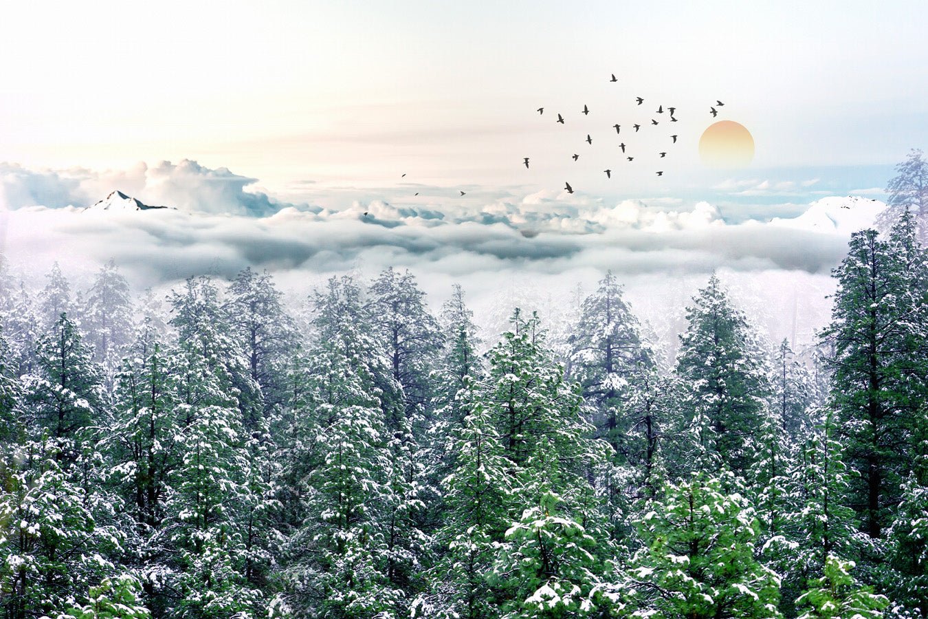 Papier peint panoramique intissé forêt de sapin neige, mural concept, tendance