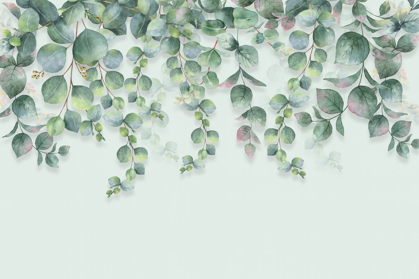 Papier peint wc nature plante Eucalyptus, mural concept, tendance