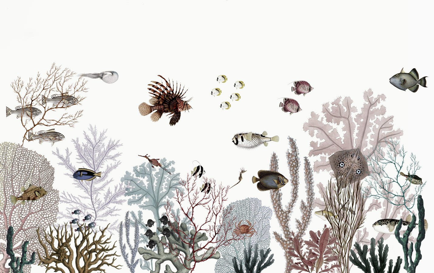 Papier peint récif et coraux, mural concept, tendance