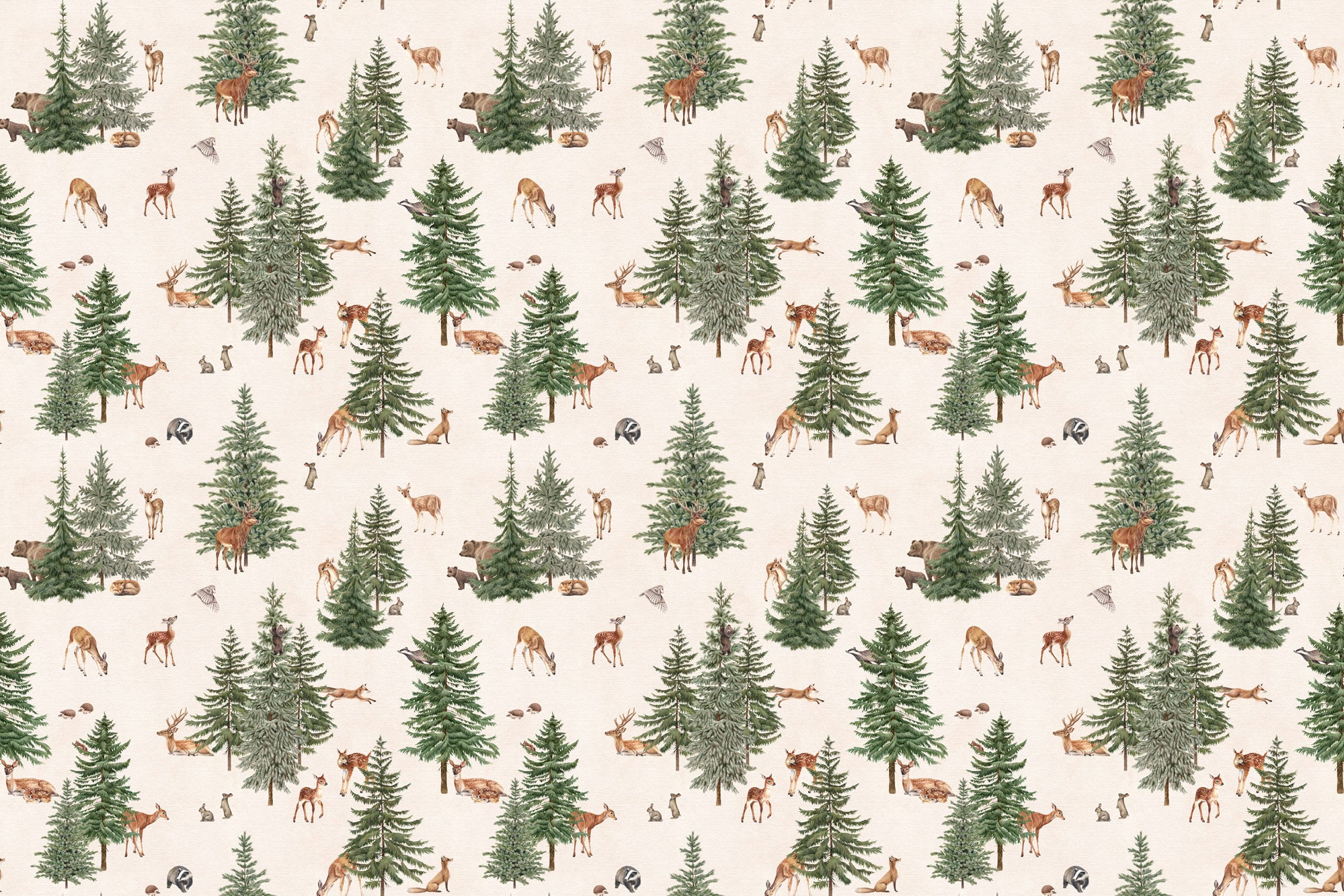 Papier peint panoramique la forêt des grands sapins - Muralconcept