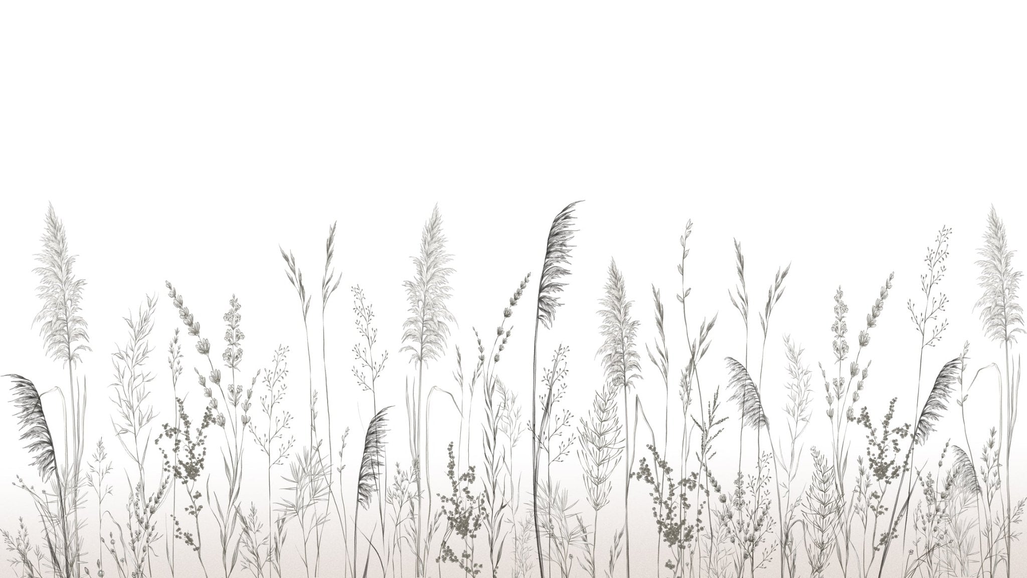 Papier peint poétique pampa, XXL, tendance