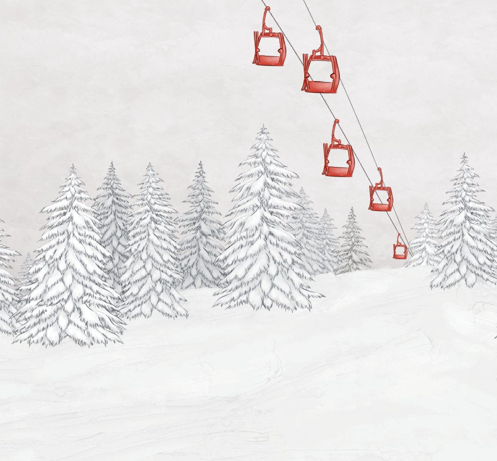 VP Red cable car mountain wallpaper L200cm x H185cm