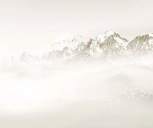 Papier peint Mont blanc lune et oiseau