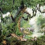 Papier peint enfant jungle secrète