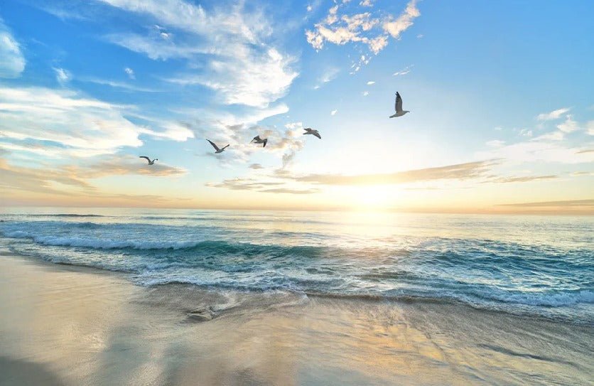 Papier peint Plage Paradisiaque, XXL, tendance