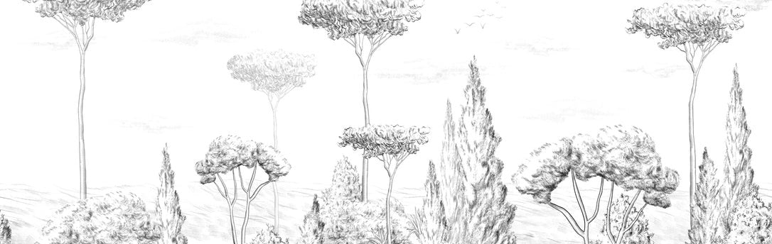 Papier peint panoramique forêt antique, XXL, tendance