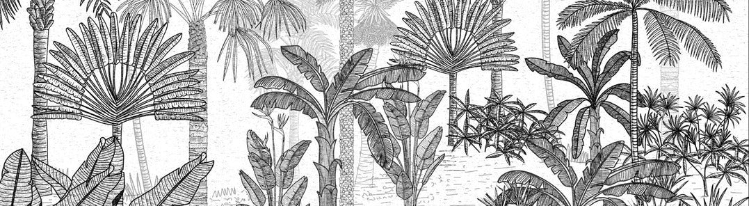 Papier peint jungle cocotier tendance gravure