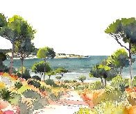 Panoramic summer air wallpaper
