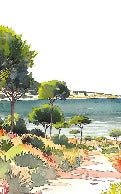 Panoramic summer air wallpaper