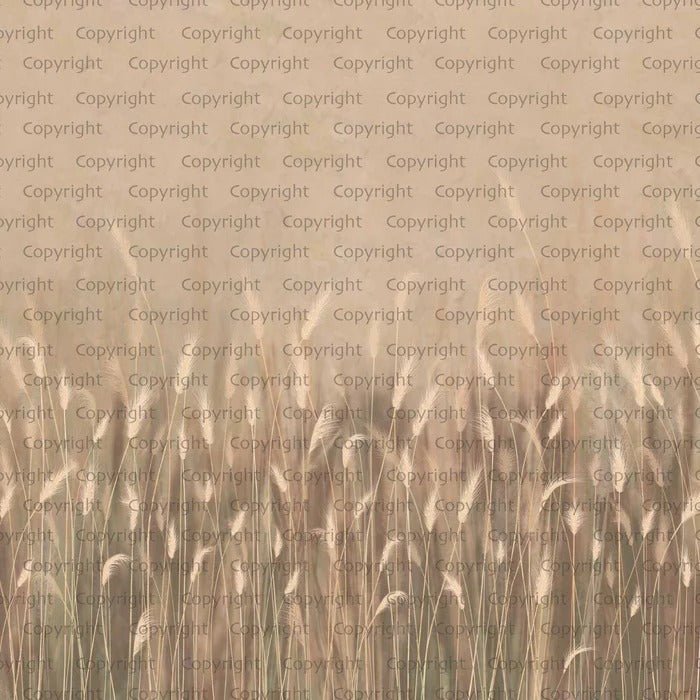 Papier peint panoramique herbes sauvages beige, XXL, tendance