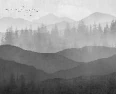 Papier peint panorama nature noir et blanc