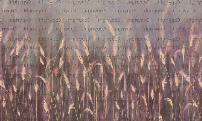 Papier peint panoramique herbes sauvages rose, XXL, tendance