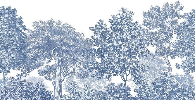 Papier peint paysage forêt gravure bleu, XXL, tendance
