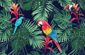Papier peint Exotique Perroquet, XXL, tendance