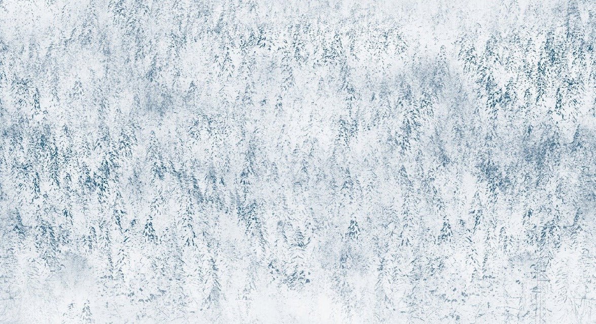 Papier peint forêt brumeuse Alpine design