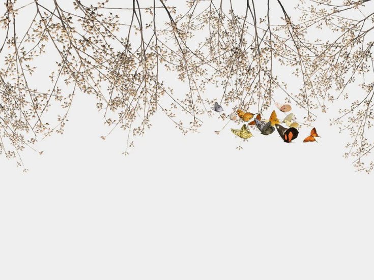 Papier peint salon branchage & papillon