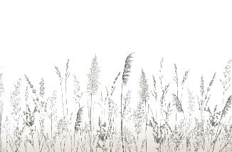 Papier peint poétique pampa